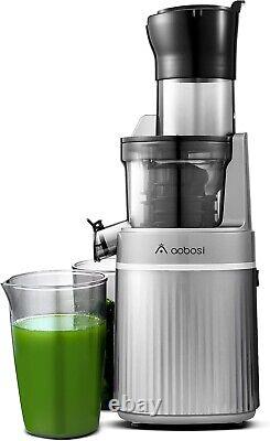 Aobosi Slow Masticating Juicer & Ice Cream Maker Large Feed Chute & Quiet M