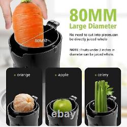 Aobosi Slow Masticating Juicer & Ice Cream Maker Large Feed Chute & Quiet M