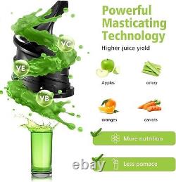 Aobosi Slow Masticating Juicer & Ice Cream Maker Large Feed Chute & Quiet M