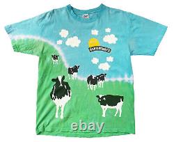BEN & JERRY'S Euphoria T-Shirt Woody Jackson Tie Dye Vintage Anvil Cotton Sz L