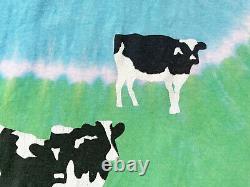 BEN & JERRY'S Euphoria T-Shirt Woody Jackson Tie Dye Vintage Anvil Cotton Sz L