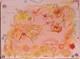Large Abstract Painting on Canvas Vanilla Ice Cream by Serg Graff, with COA