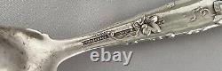 TIFFANY & CO Grape Vine Large Sterling Silver ICE CREAM SERVER 11 1/4S940