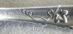 Tiffany & Co Sterling Silver Grape Vine Large 13 1/2 Ice Cream Server Slice