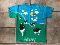 Vintage Ben and Jerrys T Euphoria Tie Dye Size L With Water Bottle Chunky Dunky