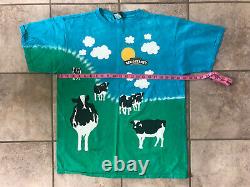 Vintage Ben and Jerrys T Euphoria Tie Dye Size L With Water Bottle Chunky Dunky